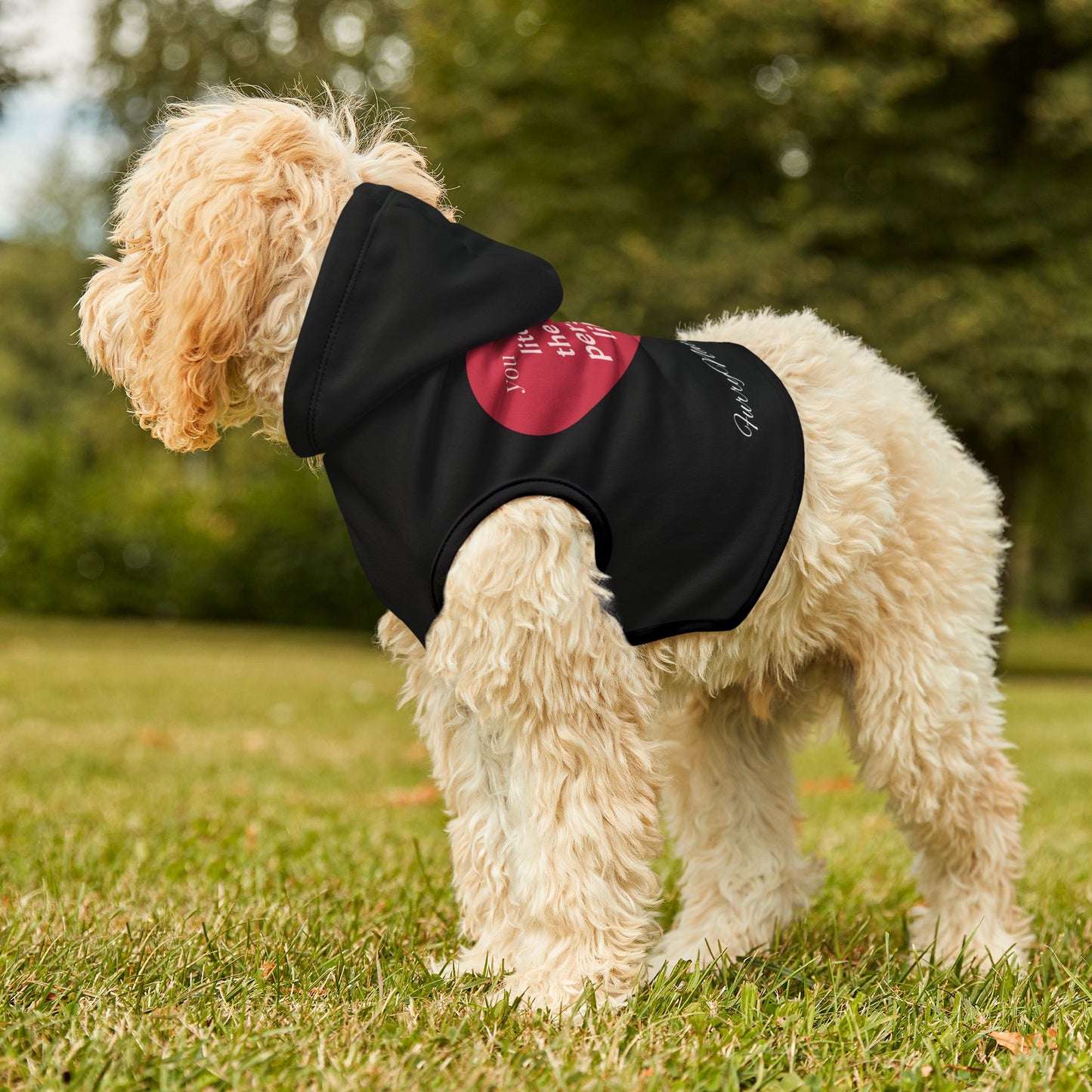 Pet Hoodie - Only One I Like - Furry Nation ZenGen USA - ZenGen USA