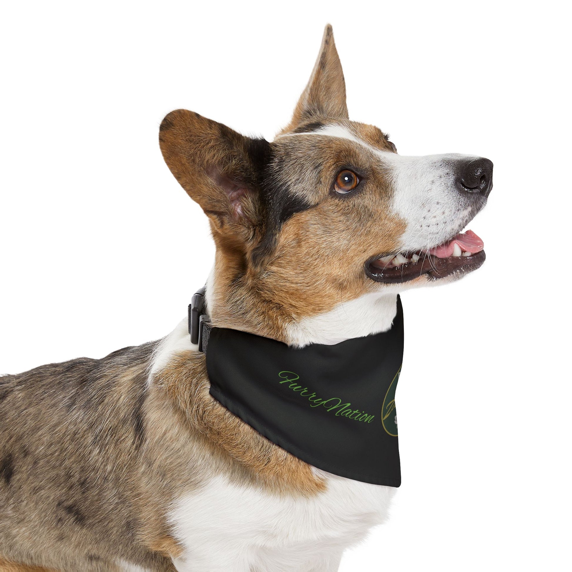 FurryNation Pet Bandana Collar - ZenGen - ZenGen USA