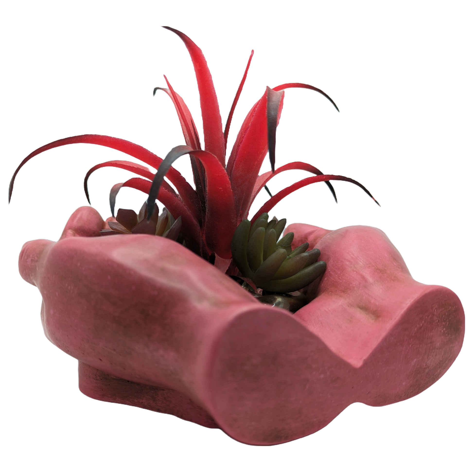 Working Hands - Craft Ceramic Pottery & Succulents - ZenGen USA