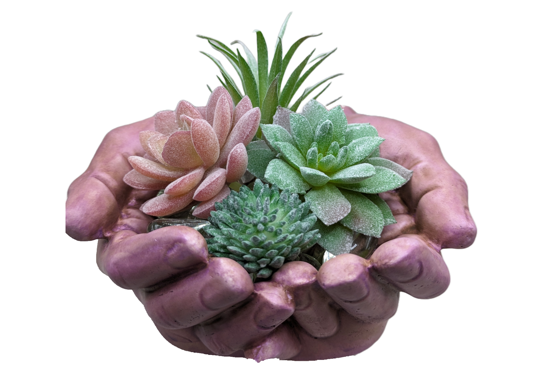 Working Hands - Craft Ceramic Pottery & Succulents - ZenGen USA