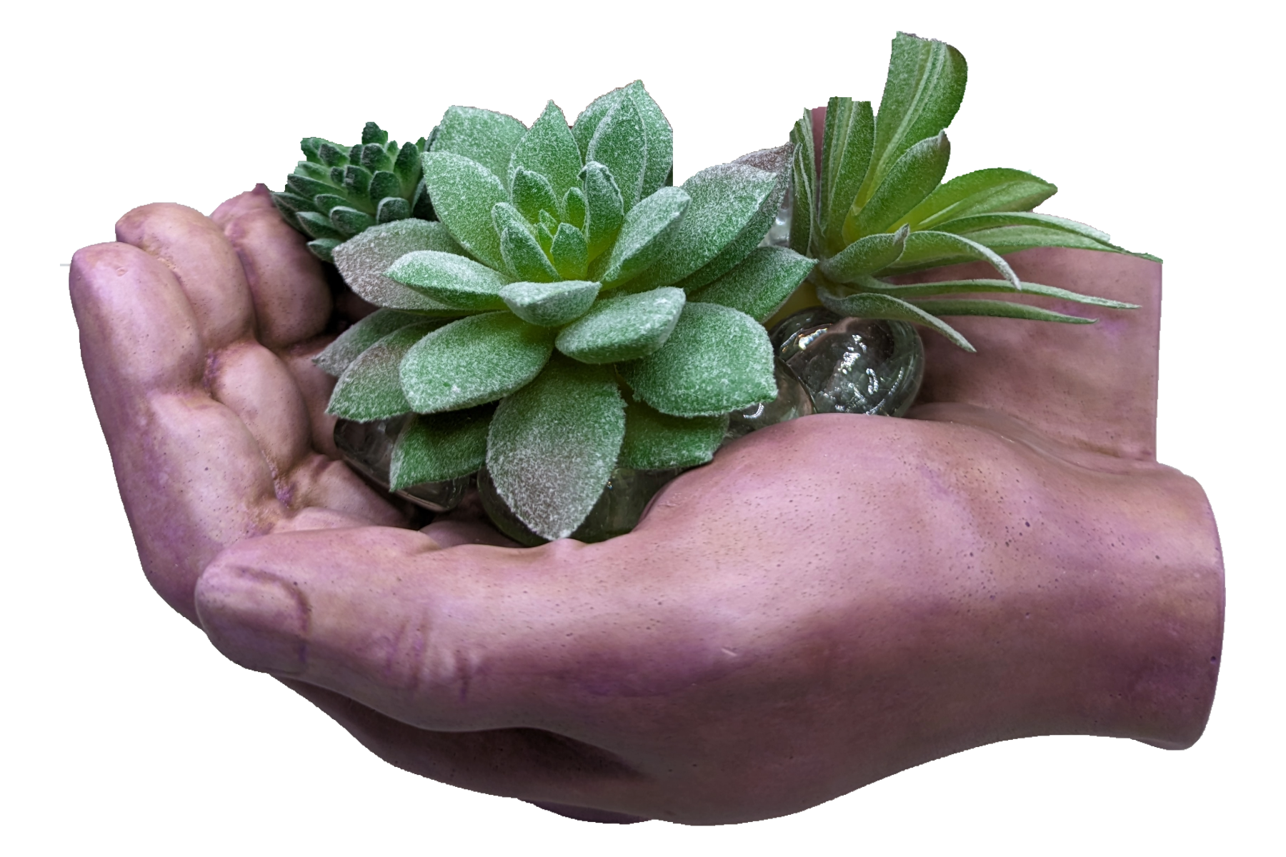 Working Hands - Craft Ceramic Pottery & Succulents - ZenGen USA