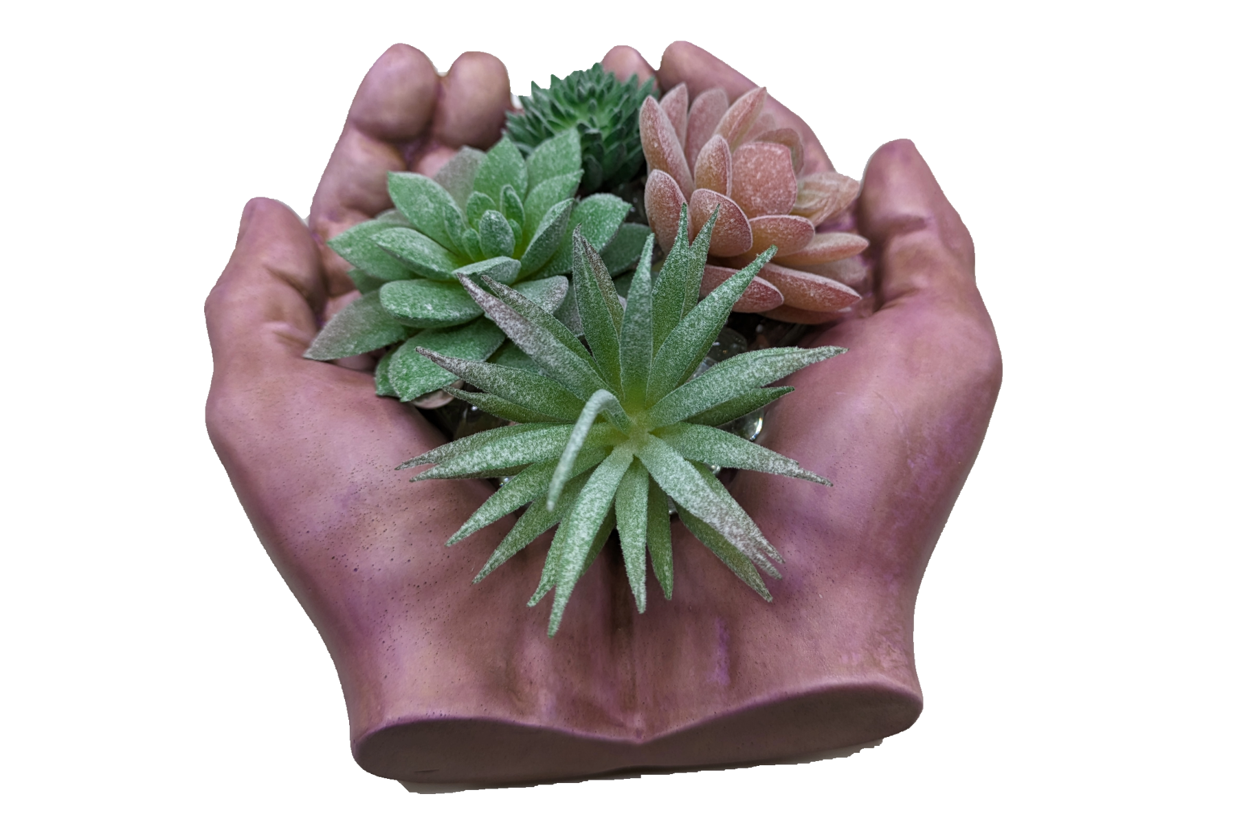 Working Hands - Craft Ceramic Pottery & Succulents - ZenGen USA