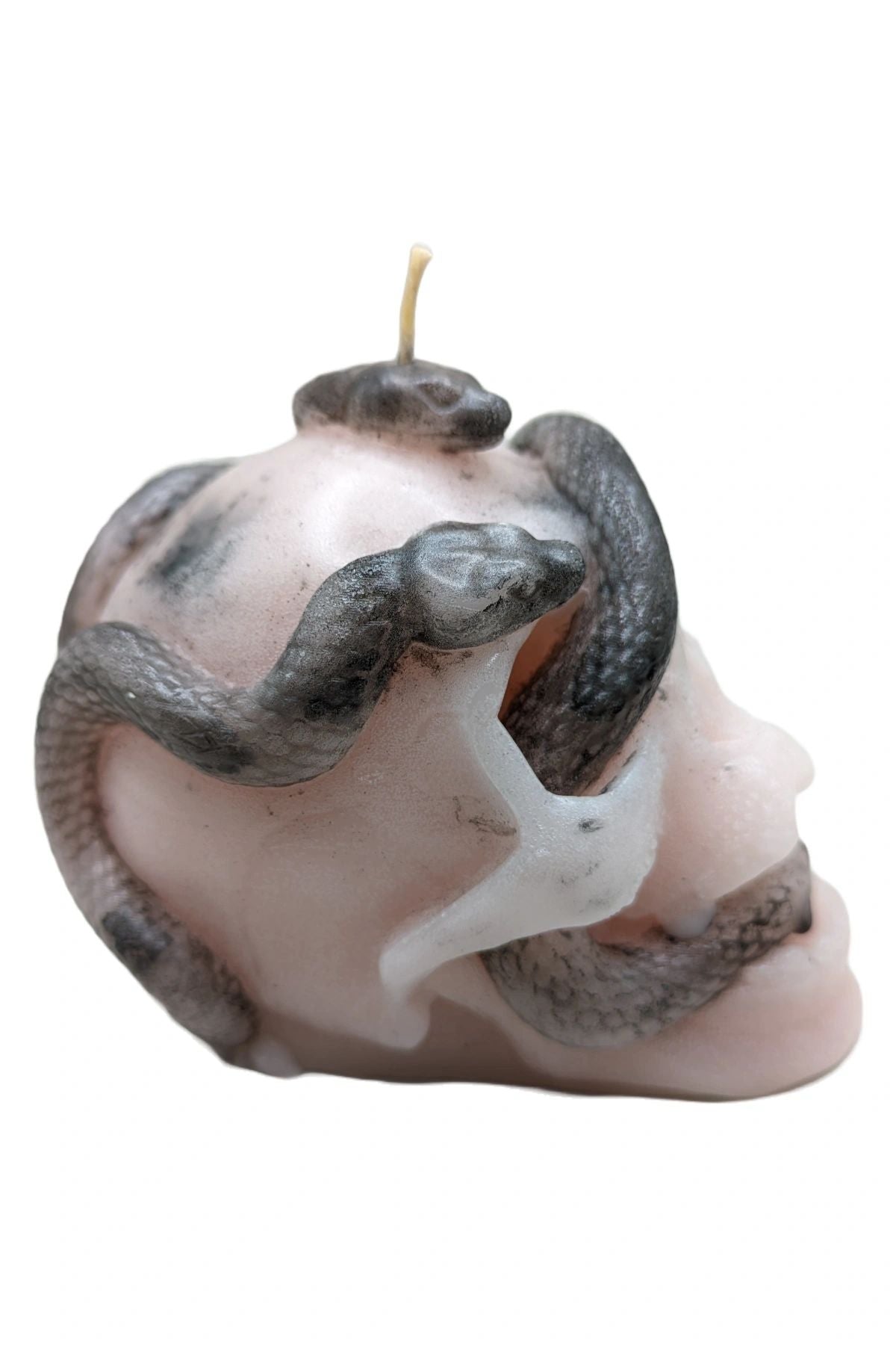 Skull and Serpents - Beeswax Candle - MUSE Fragrance